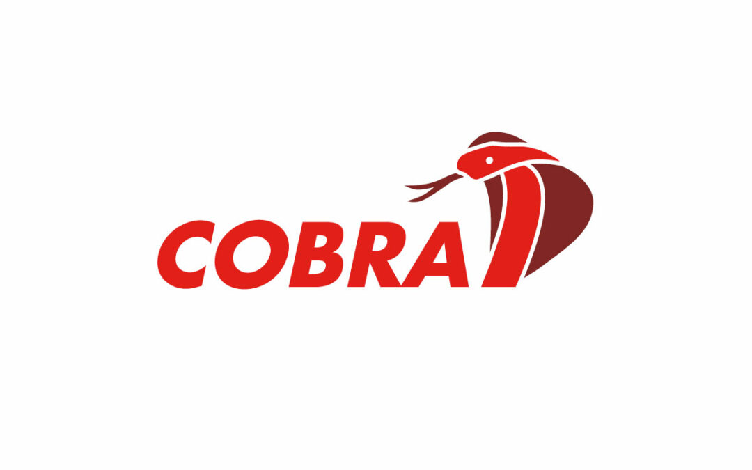 Produktlogo COBRA Screenreader