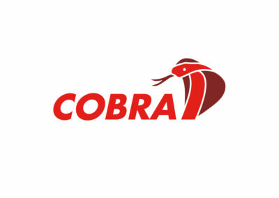 Produktlogo COBRA Screenreader