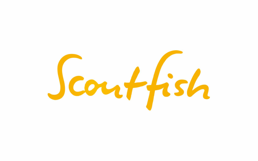 Schriftzug „Scoutfish“