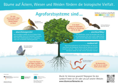 Infotafel zum Bundesprogramm